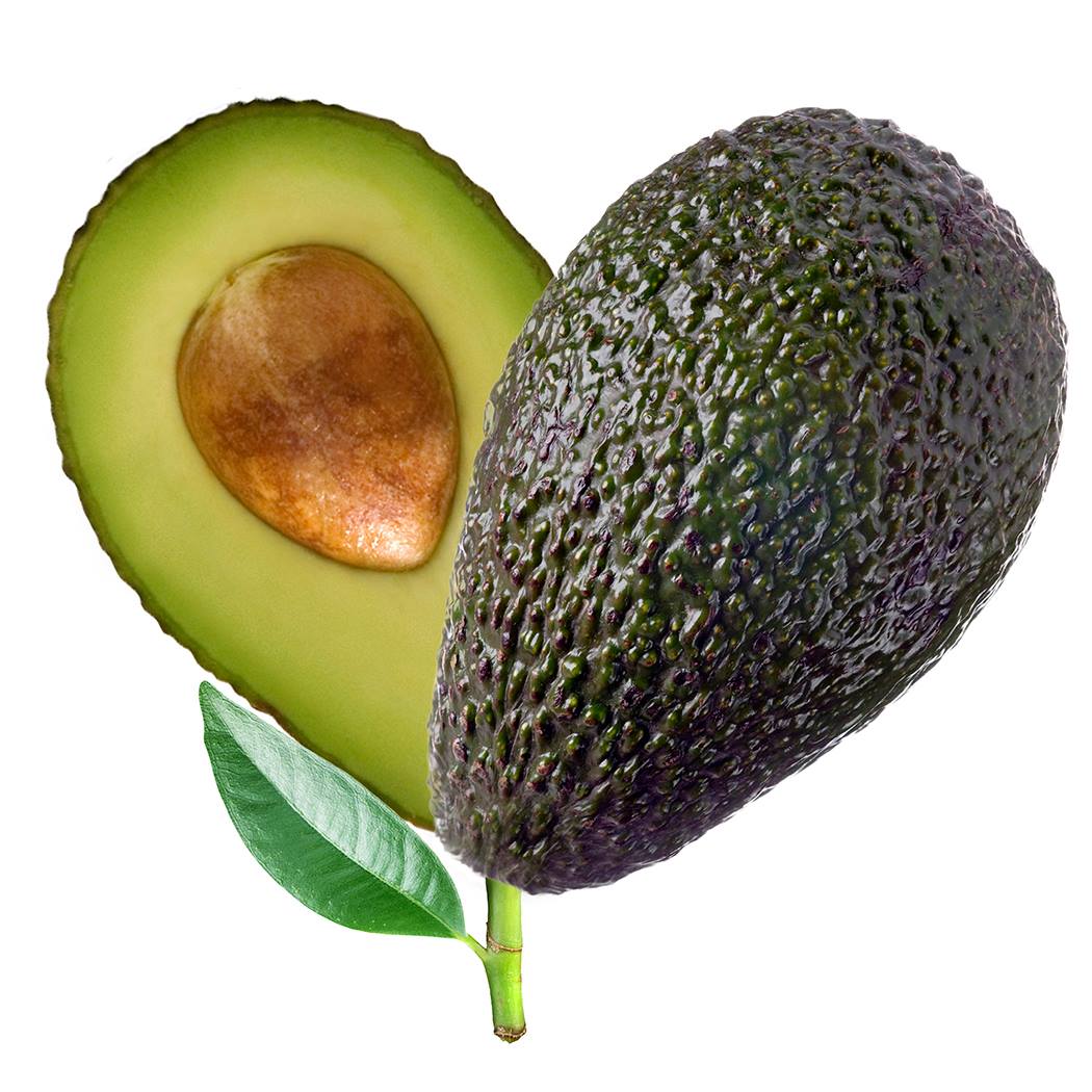 Australian Avocados